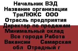 Начальник ВЭД › Название организации ­ ТриЛЮКС, ООО › Отрасль предприятия ­ Директор по продажам › Минимальный оклад ­ 1 - Все города Работа » Вакансии   . Самарская обл.,Отрадный г.